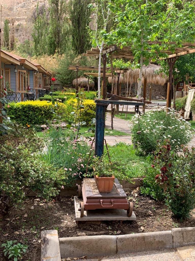 Hotel Faro Del Valle بيسكو إلكي المظهر الخارجي الصورة